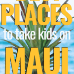 Pin for 5 places for kids on maui