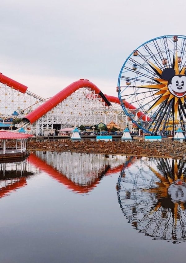 Top Eight Disneyland Thrill Rides With Videos