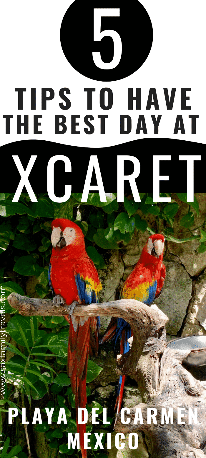 5 Tips To Have The Best Day At Xcaret  Park at Playa Del Carmen Mexico Pinterest Pin
