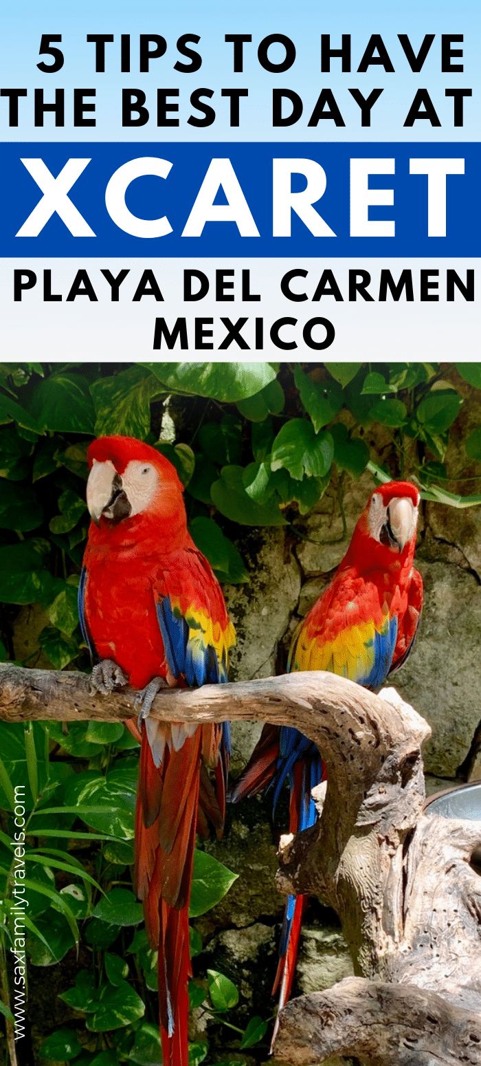 5 Tips to Have the best day at Xcaret  Park at Playa Del Carmen Mexico Pinterest Pin