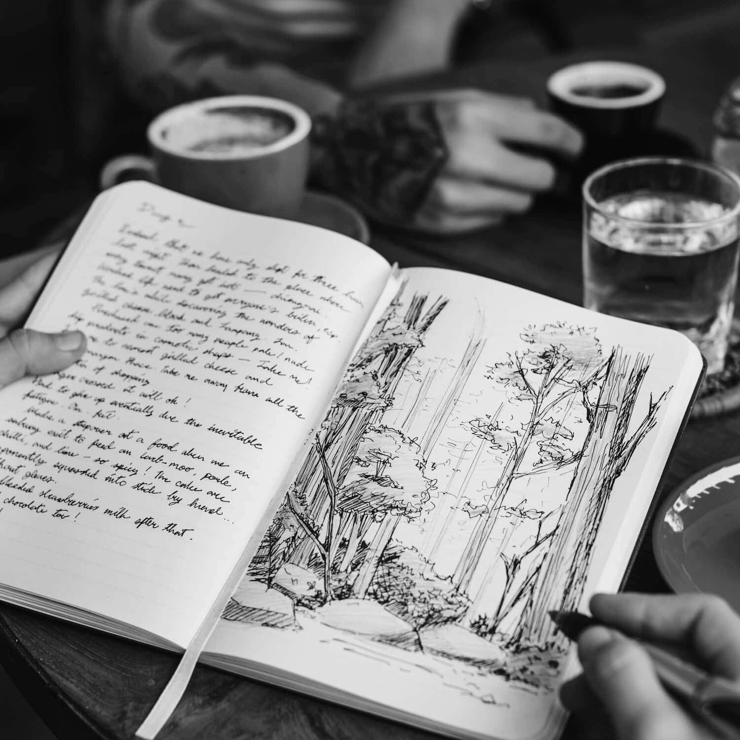 a black and white photo of a journal with one side handwriting and the other a sketch of a forest. 